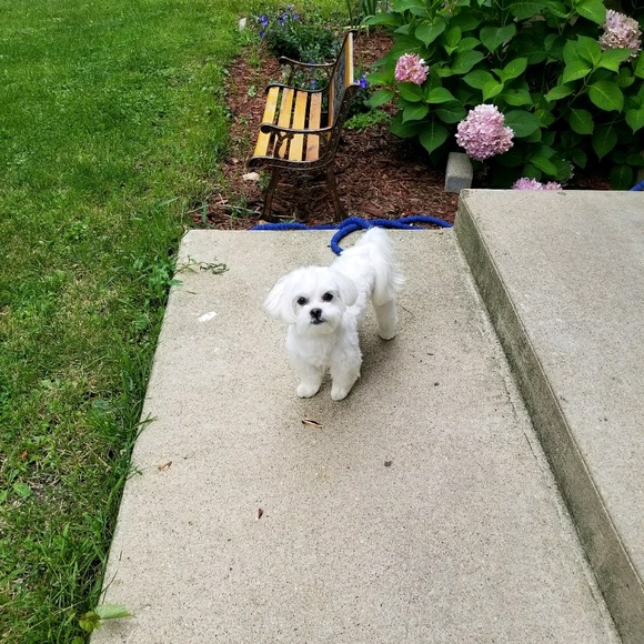 Meet your Posher, Carla - Picture 1 of 1